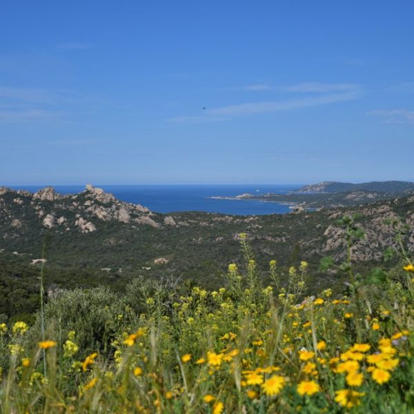 Insel-Traum im Mittelmeer | Korsika