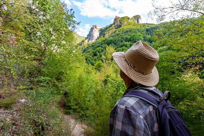 Rückansicht eines Mannes, der einen Hut trägt und einen Rucksack mit Wanderstöcken bei sich hat. Er steht auf einem Waldweg und blickt auf eine atemberaubende Berglandschaft.