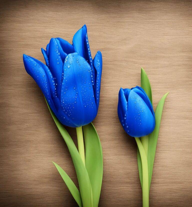 tulips-7804666_1280