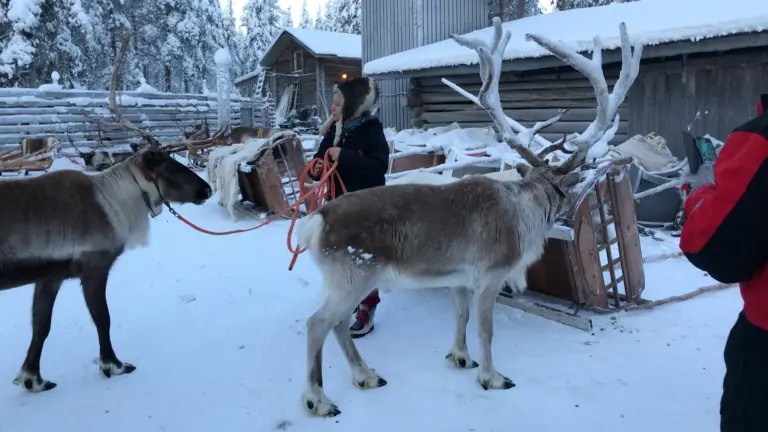 0AACF551-C78E-4795-BDB5-B742C17E4348