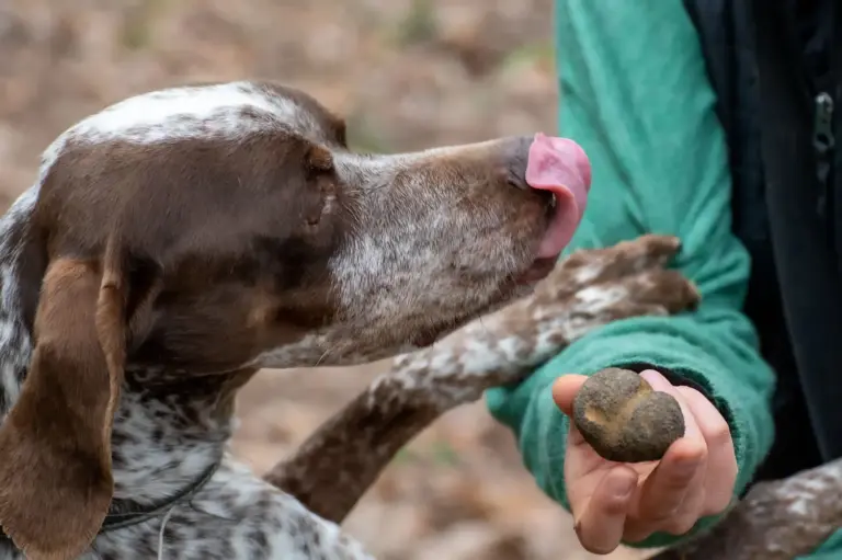 9f6fd44d-55e7-422b-84e5-57db7083b344