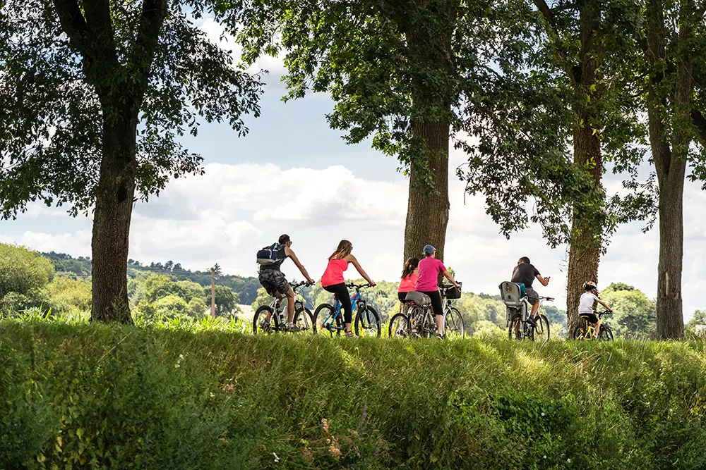 Eine Gruppe Fahrradfahrer fährt durch den Wald